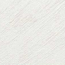 Nicola SP EXwhite